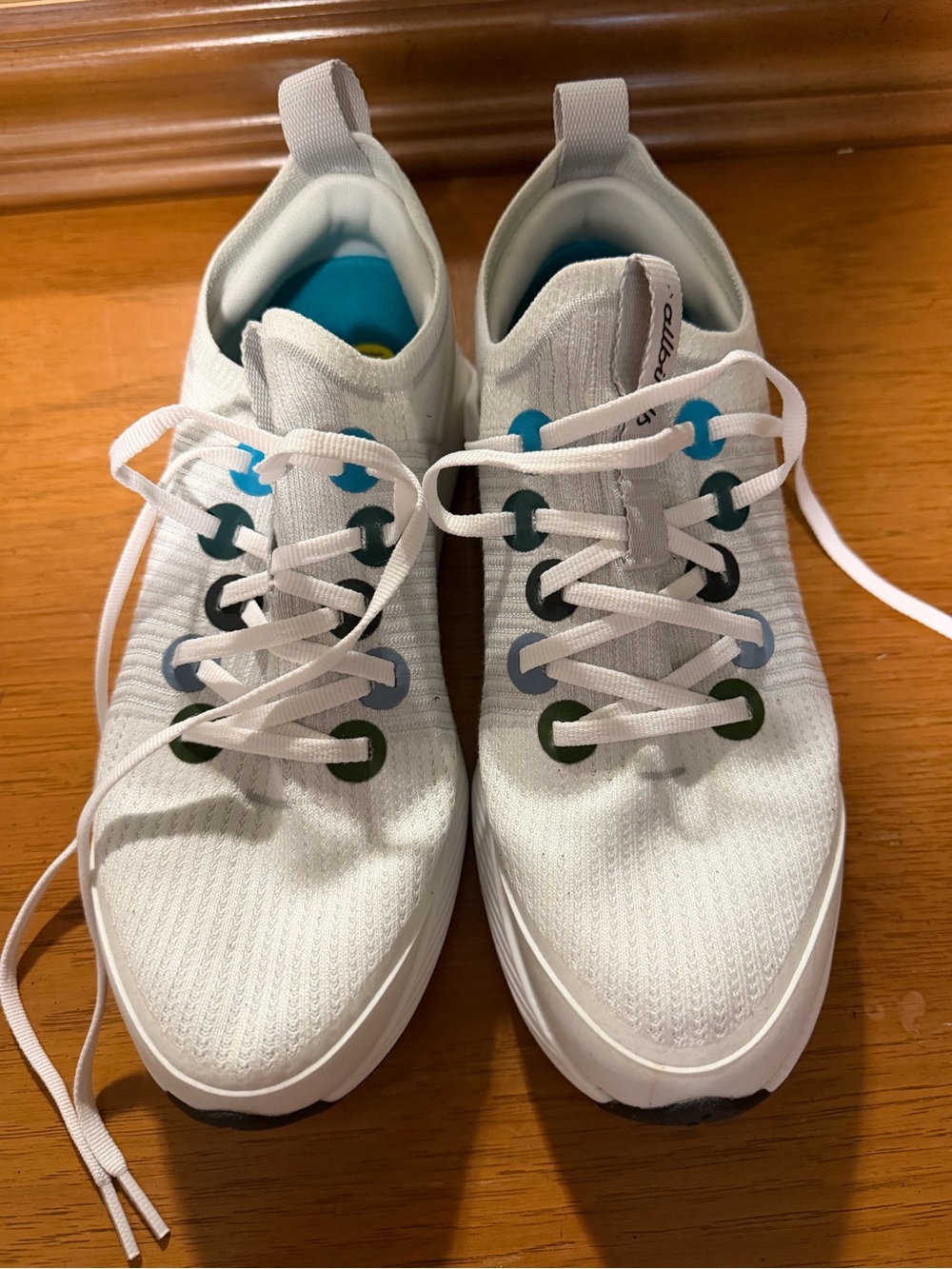 Women’s Allbirds sneakers. Worn once. Still like new.